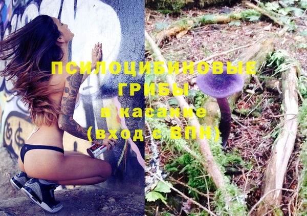 ешки Алексеевка