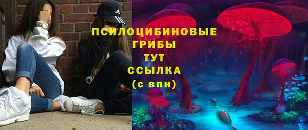ешки Алексеевка