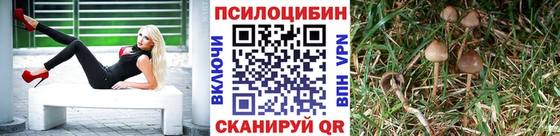 Галлюциногенные грибы ЛСД Лабинск